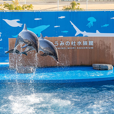 仙台うみの杜水族館（荒井駅）